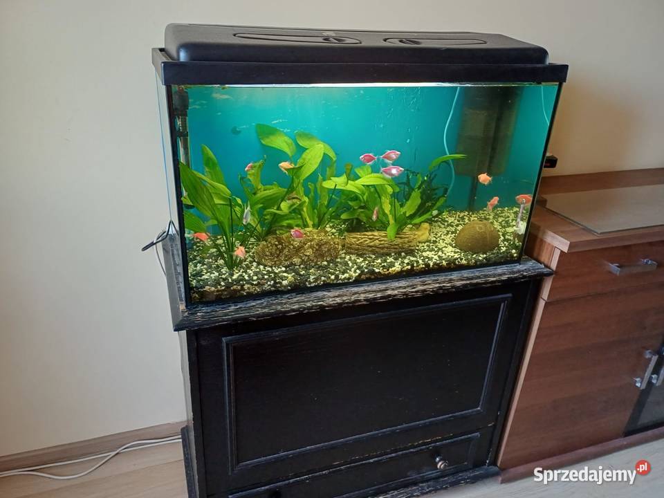 Akwarium 126L z komodą i rybkami plus akcesoria Jaworzno sprzedam