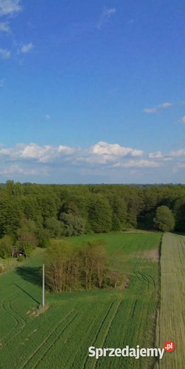 NA SPRZEDAŻ DZIAŁKA 59AR JÓZEFOWO POW SŁUPECKI Józefowo