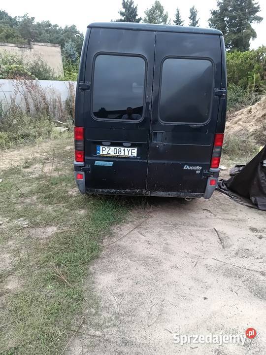Ducato II 01r wysoki krótki L1H2 19TD idealny na Mosina