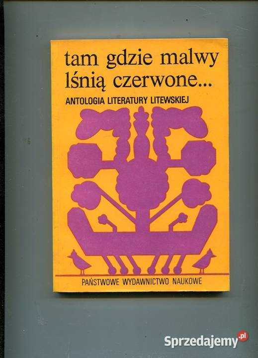 Tam gdzie malwy lśnią czerwone Antologia miękka Szczecin