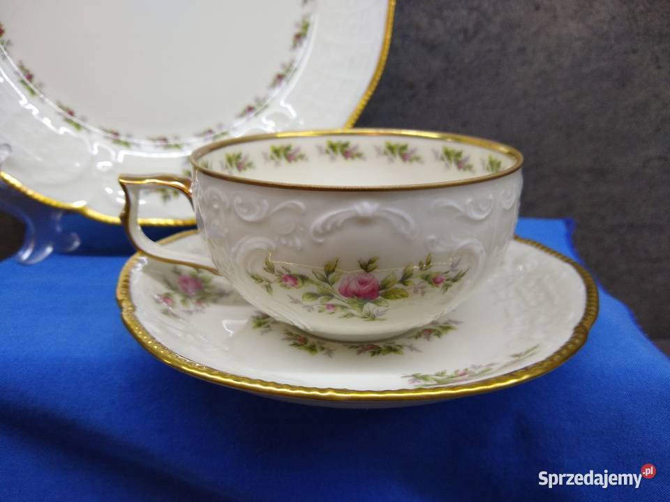 Filiżanka herbata Rosenthal Sanssouci Moosrose wielkopolskie Kalisz
