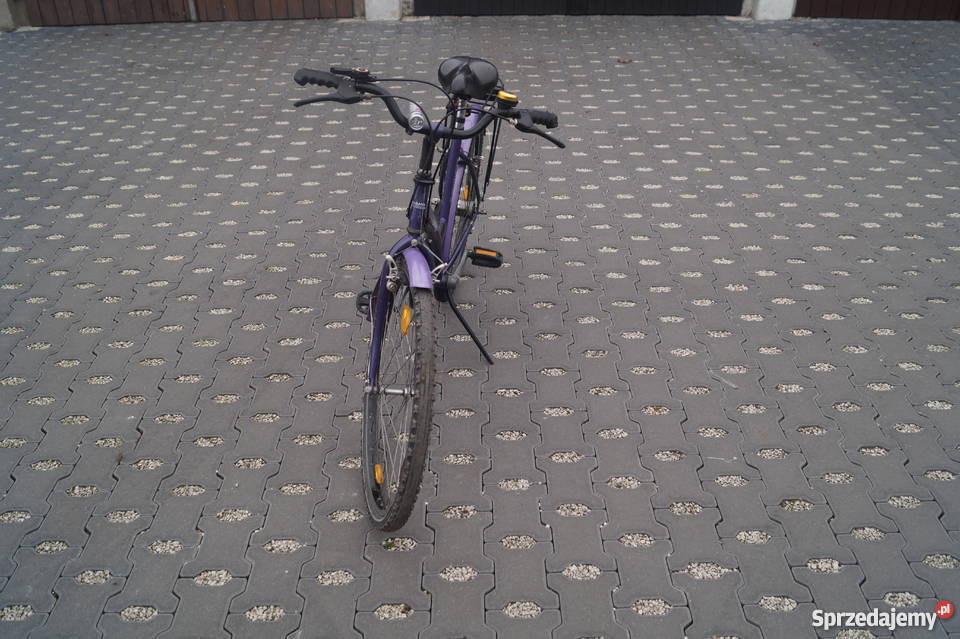 Batavus Gabana Gniezno