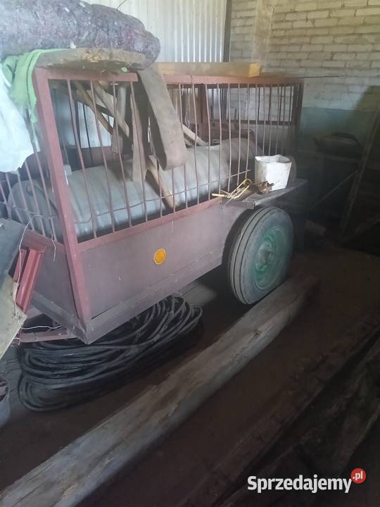 Sprzedam rozsiewacz nawozów lejek Werbkowice