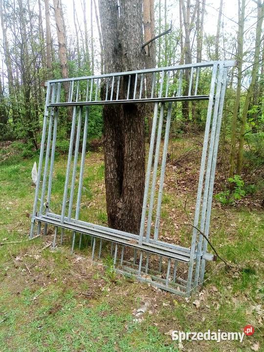 Pieczarkarnia wózki do zbioru pieczarek Jasionka sprzedam