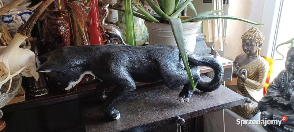 KOT 60 DLUGI twarda żywica poli twardy cięzki czarny wielkopolskie