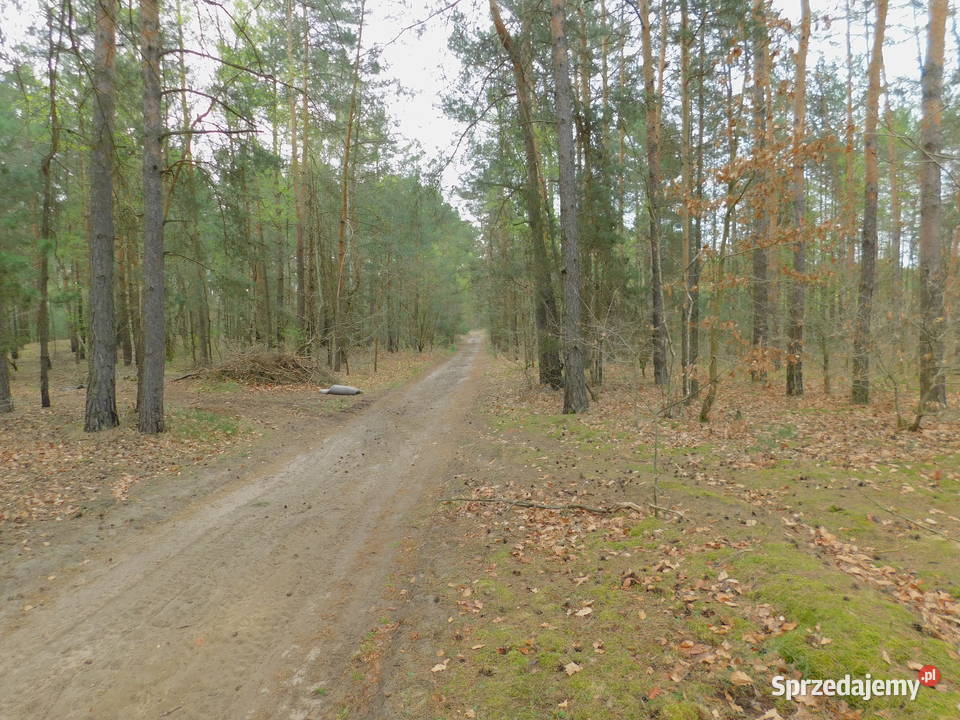 Syndyk sprzeda - Radom, ul. Andersena