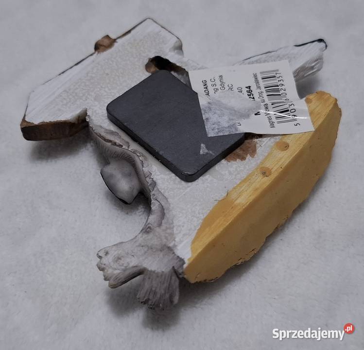 Magnes na lodówkę Jarosławiec Mewa foka 9x7 Czeladź