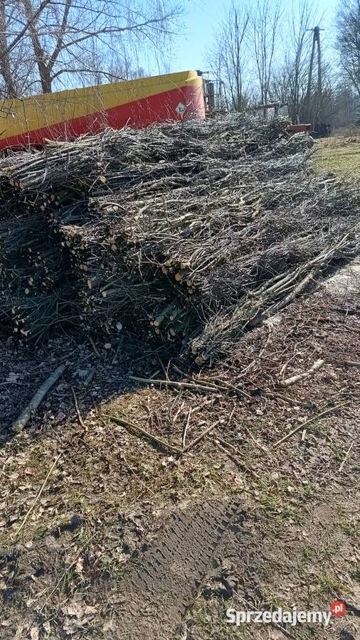 Faszyna leśna kiszka faszynowaKolki mazowieckie Grębków