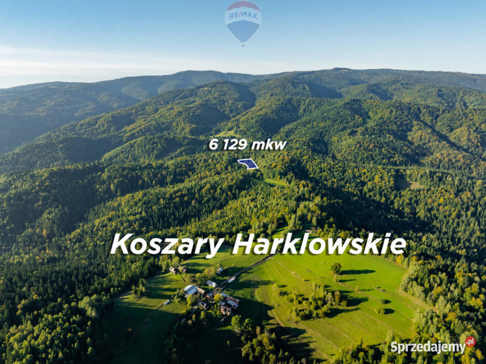 Polana w lesie małopolskie Harklowa