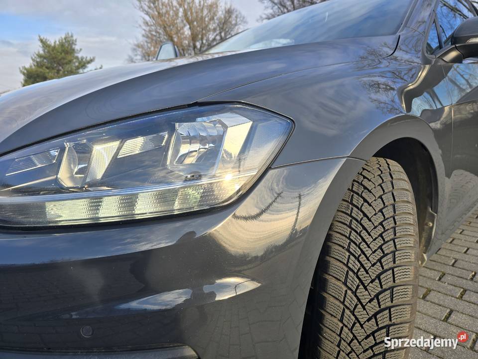 Volkswagen Golf Trendline 2019 FV23 Sochaczew