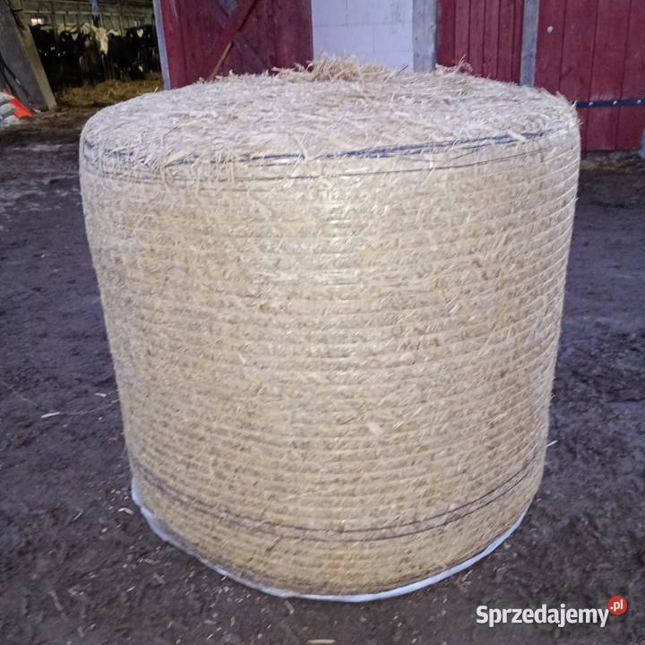 Sprzedam słome owiniętą prasie Mchele Hodowla trzody