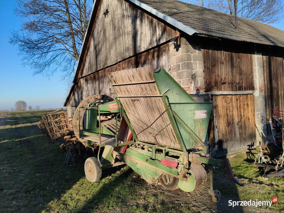 Kombajn do ziemniaków Hassia Gdów