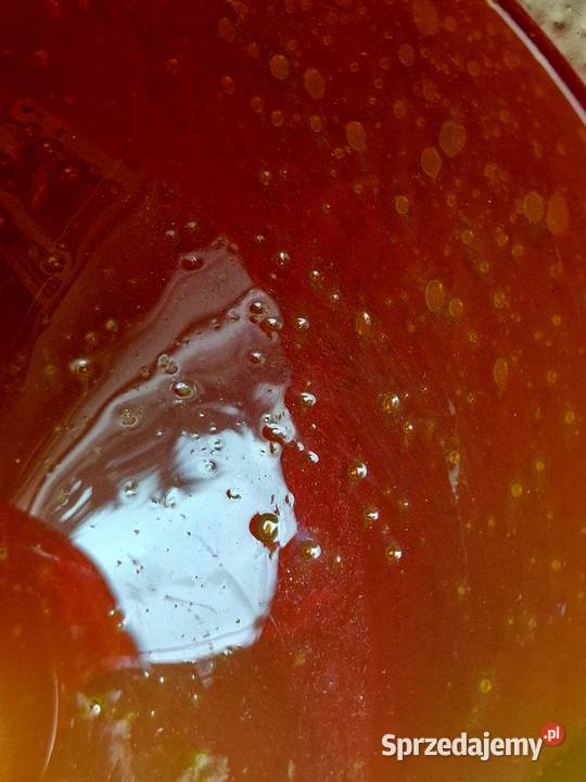 kielich i kubek Polanica-Zdrój