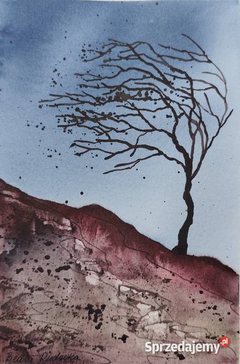 Akwarela Akwarelka Obraz pt Wiatr Łódź sprzedam