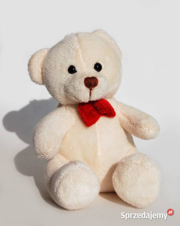 Pluszowy miś kremowobiały siedzący maskotka 14 Lublin