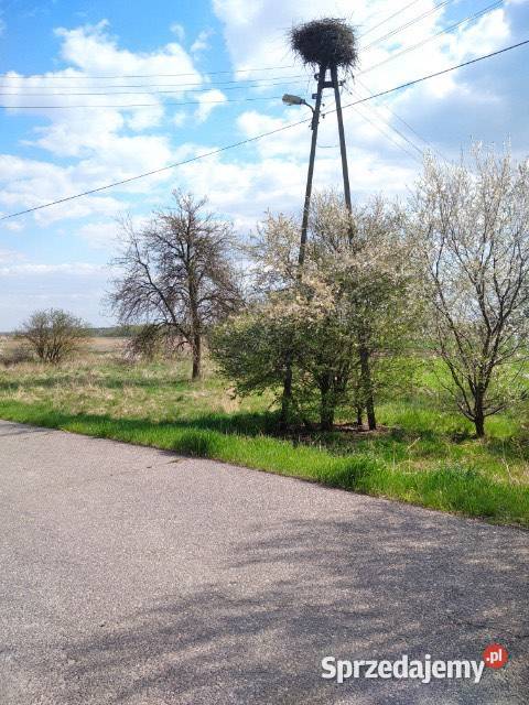 Działka inwestycyjna Stary Dybów 6900m2 mazowieckie