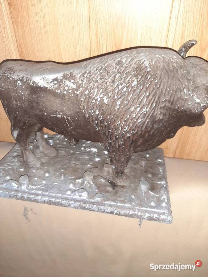 Żubr gigant śląskie