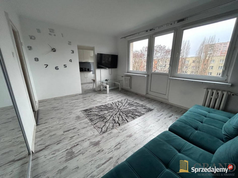 Mieszkanie 308m2 1pokojowe Szczecin 10357zł/m2 zachodniopomorskie