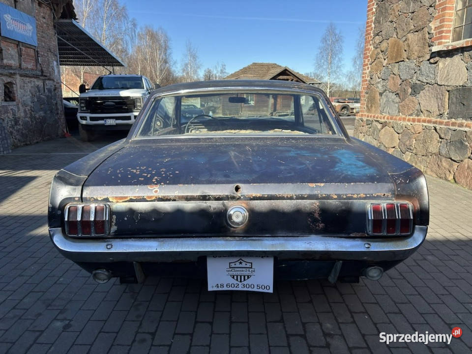 Ford Mustang Ford Mustang Coup 1965 110 Do Sulechów