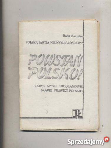 Powstań Polsko Zarys myśli programowej Nowej Szczecin