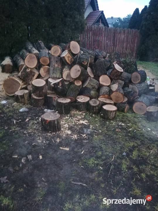 Transport drewna Wrocław