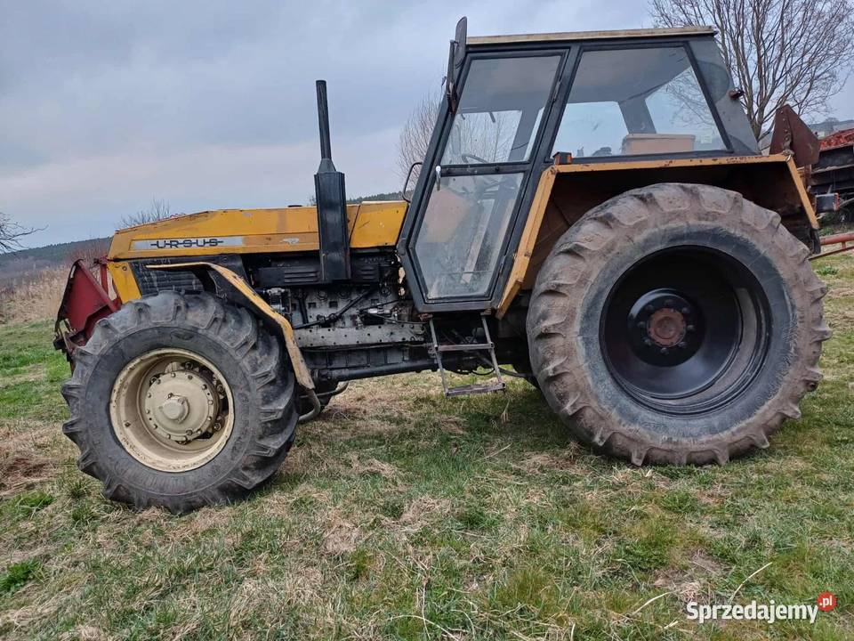 Ursus 1224