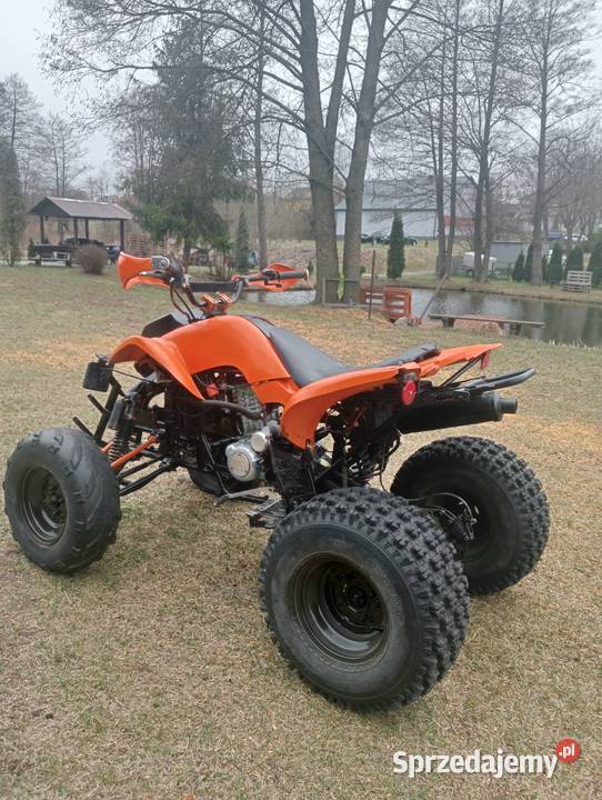 Sprzedam Bashan 200 Małogoszcz sprzedam