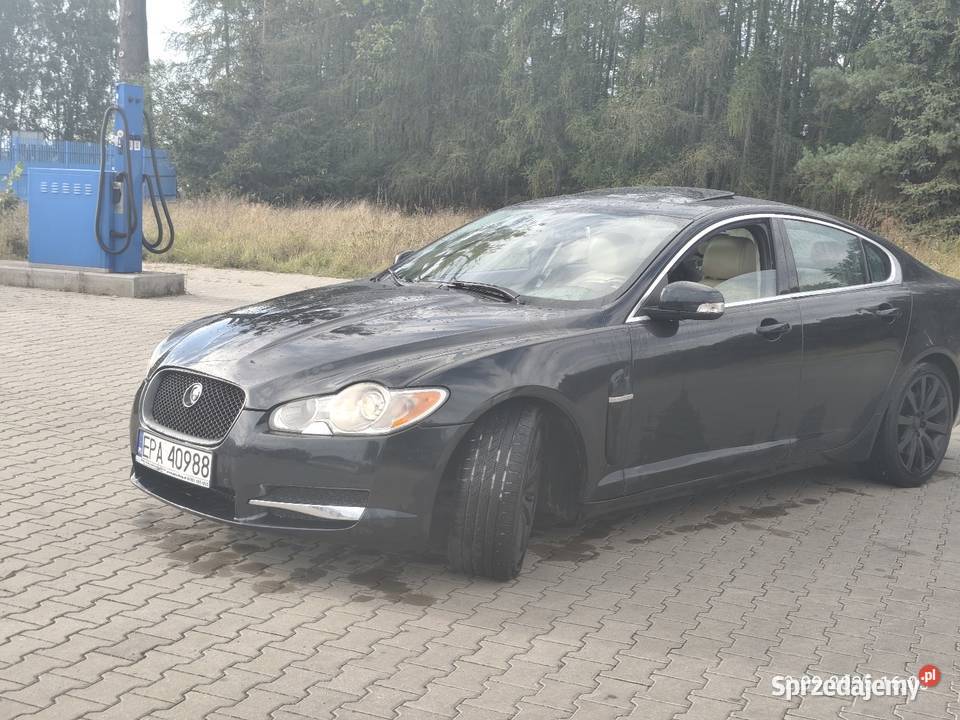 Jaguar xf Nasielsk