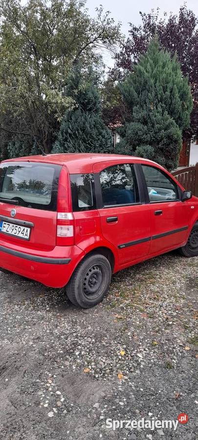 Fiat Panda 11 Active Alaska Zielona Góra
