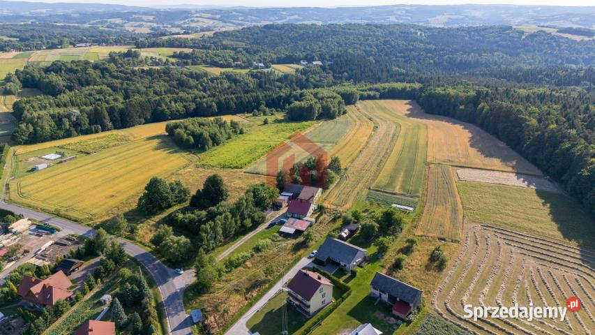 Działka Gnojnica 13000m2 13000m2