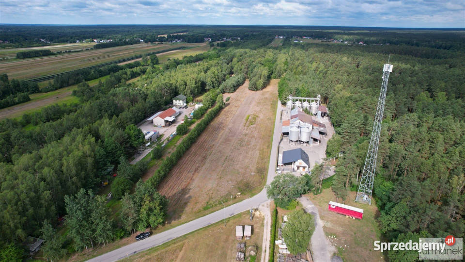 Grunt 1447m2 Dąbrowica Sprzedaż