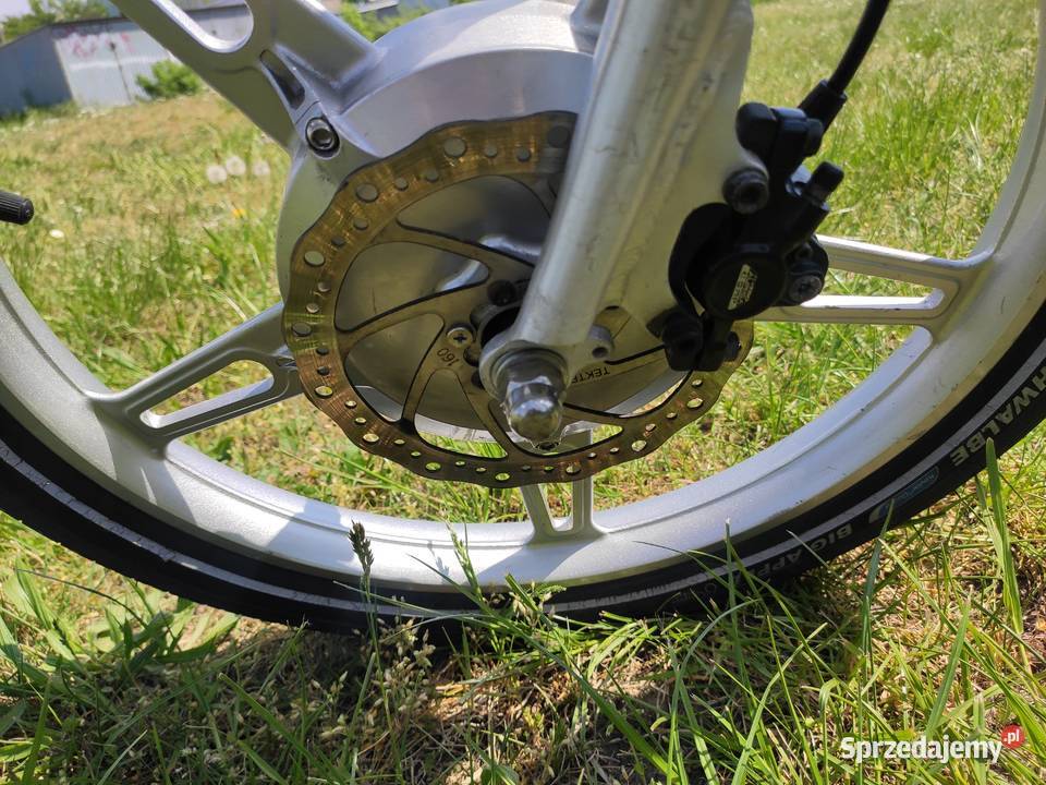 Rower holederski AEWE Eagle Włocławek