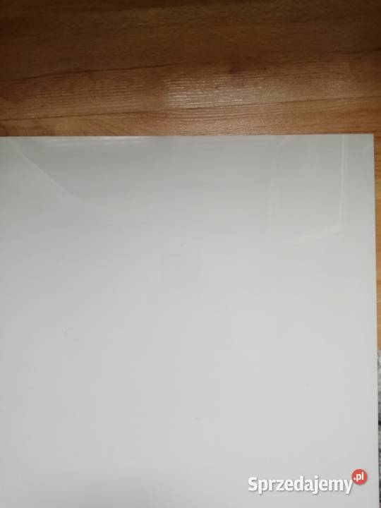 Gres Latine Colour 60 x 60 biały Kraków