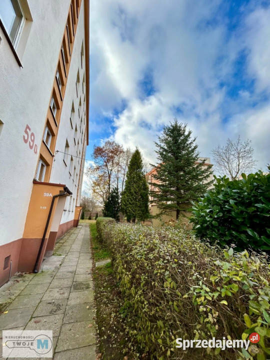 Mieszkanie Kielce 367m2 1 pokój