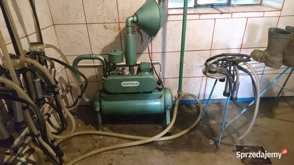 Sprzedam dojarkę przewodową westfalia Młynice
