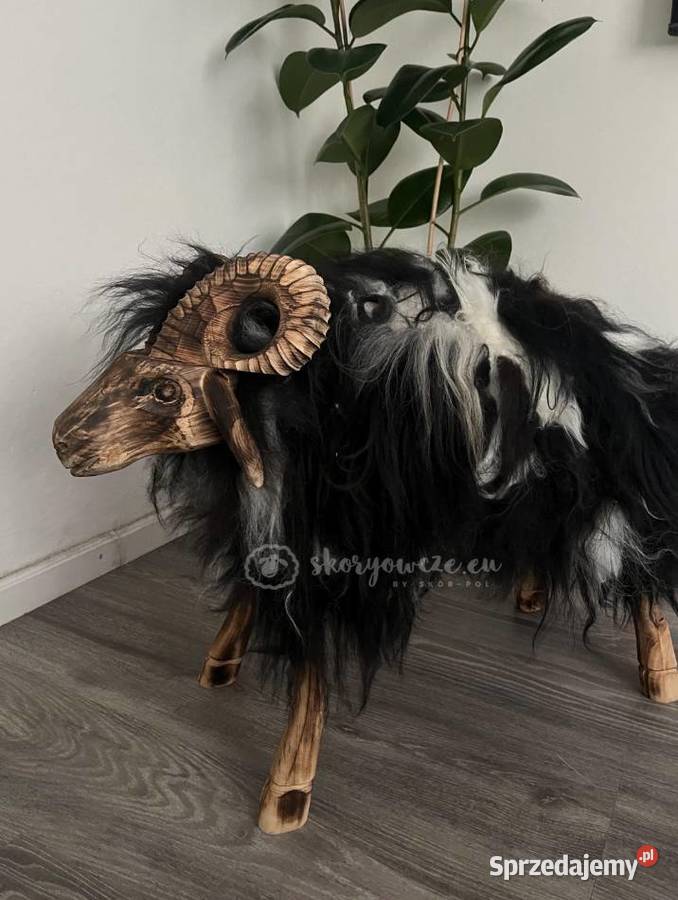 Baran dekoracyjny drewniany ze skóry owczej Szaflary sprzedam