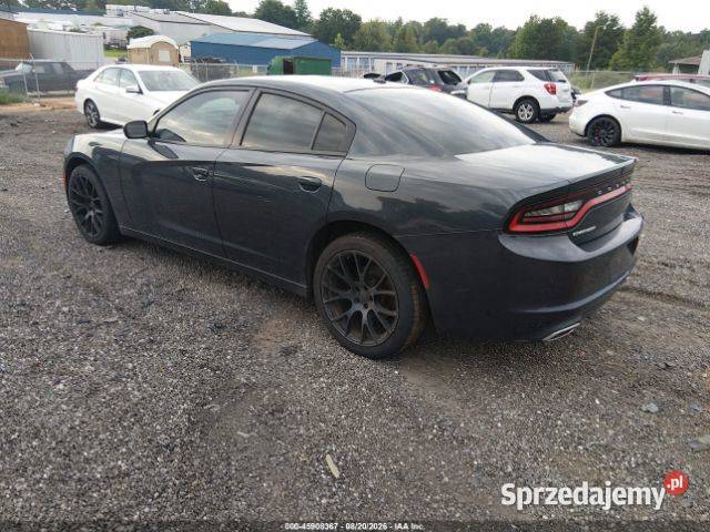 Dodge charger Rok produkcji 2019 Radom