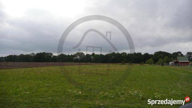 Działka rekreacyjna 3400m2 Trzebawie Grunty i działki