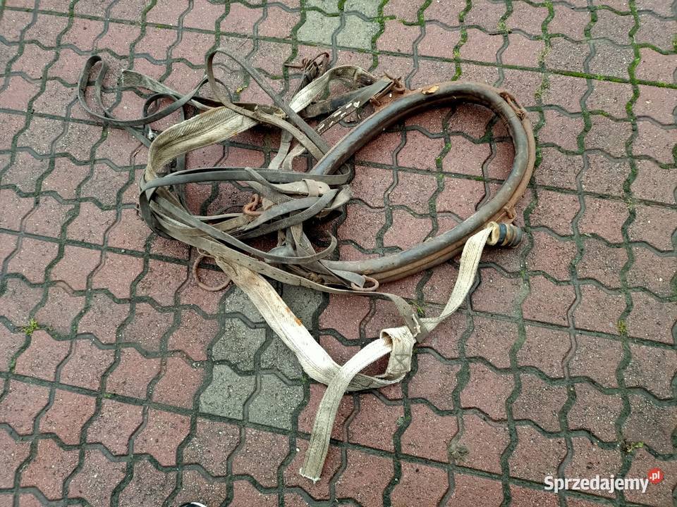 Homonto z osprzętem Rzeszów