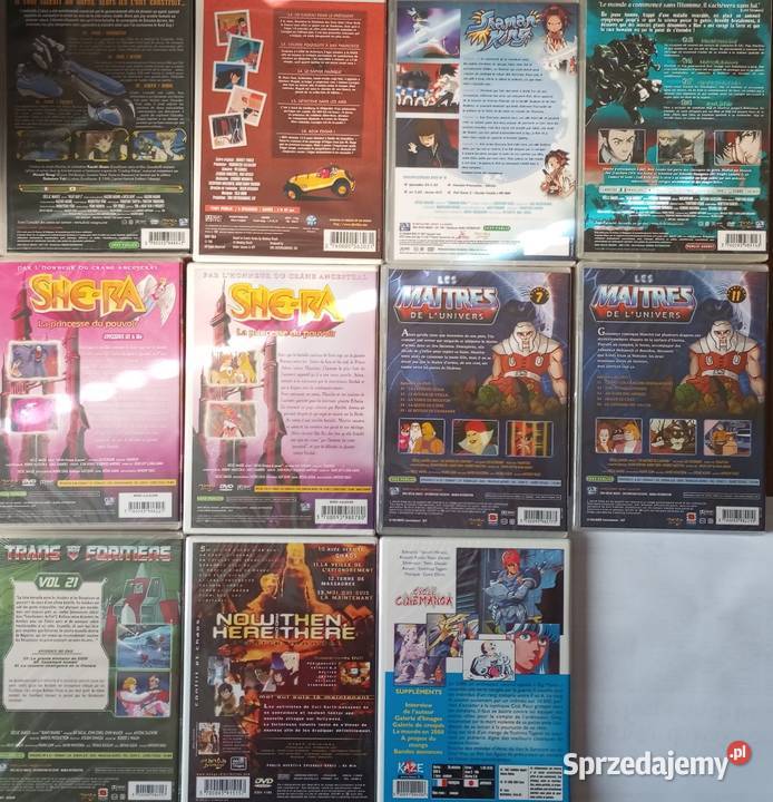 11x DVD anime manga FRANCUSKIE FOLIA SheRa Heman Rzeszów