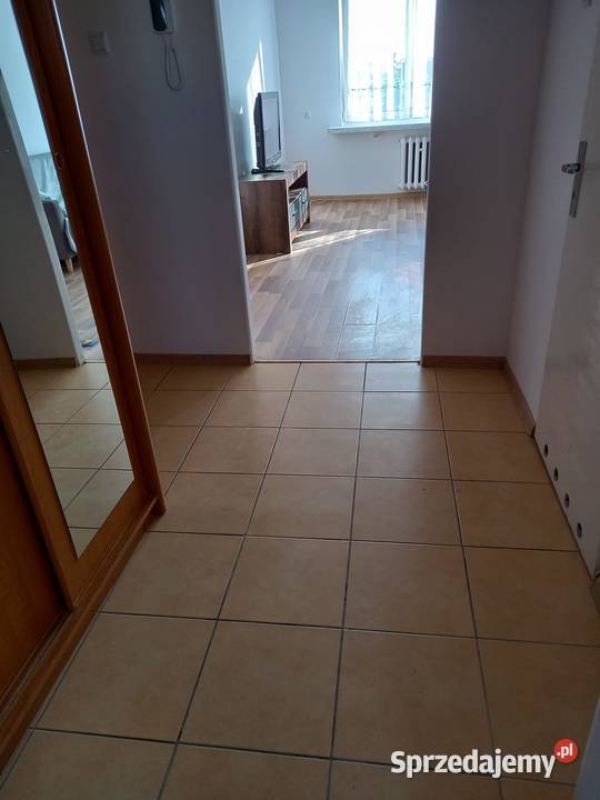 wynajmę kawalerkę 38 m2 remoncie w centrum 3 piętra i więcej Wynajem