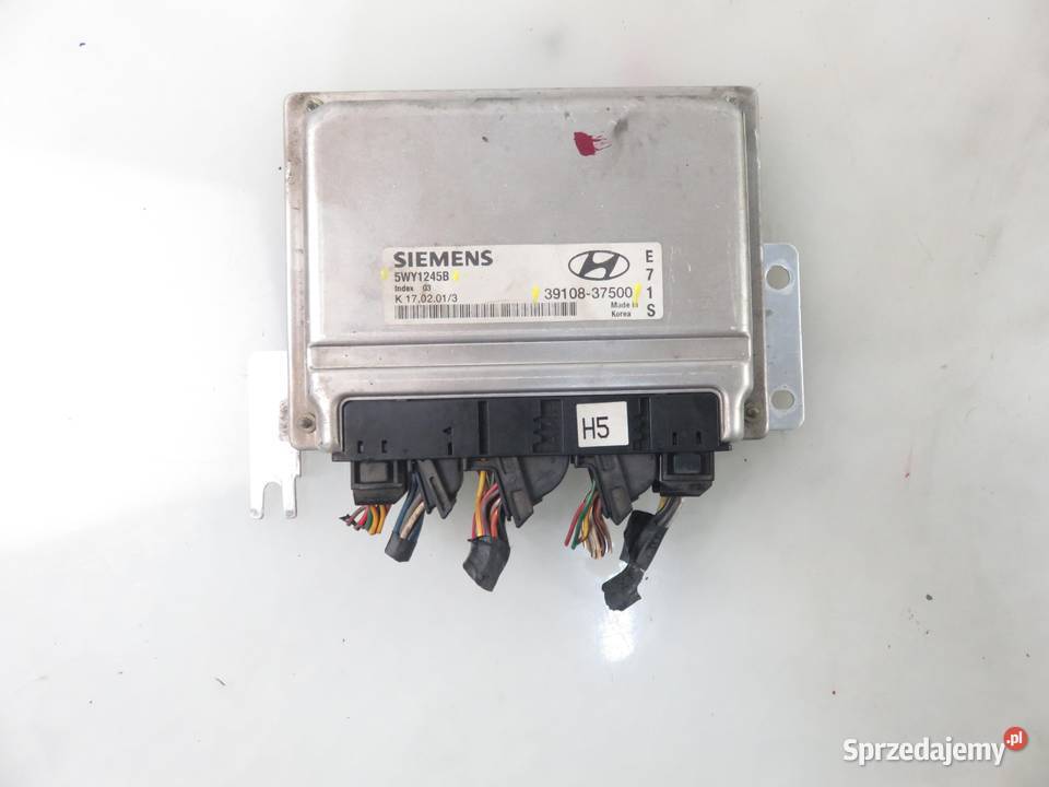 STEROWNIK HYUNDAI SANTA FE I 27 V6 3910837500 osobowe sprzedam