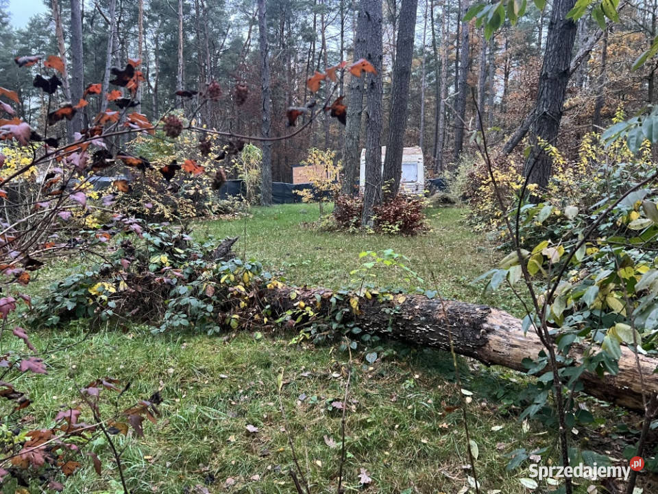 Działka leśna ZL ogrodzona jeziorem Sprzedaż