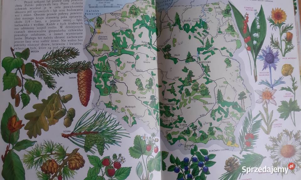 Pakiet 5 książek do geografii słownik zagadki i Sosnowiec sprzedam