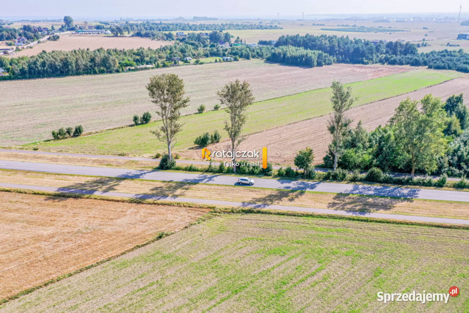 sprzedaży gruntu 9632m2 Łebcz Dr Augusta gaz