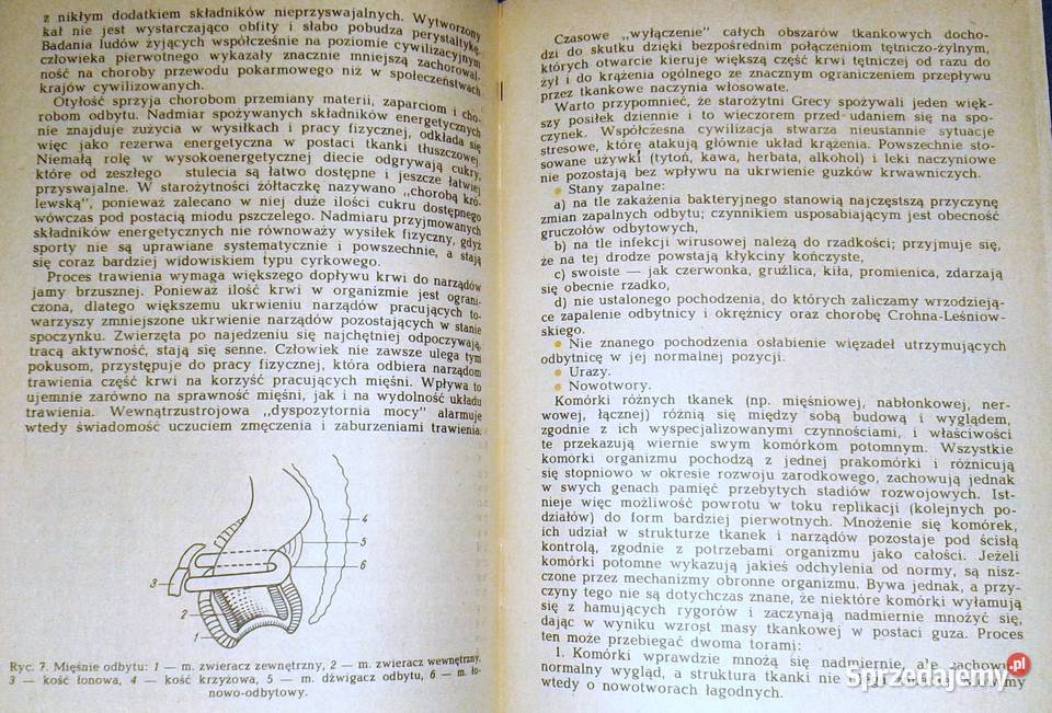 Hemoroidy a choroby proktologiczne Mieczysław lubelskie Chełm