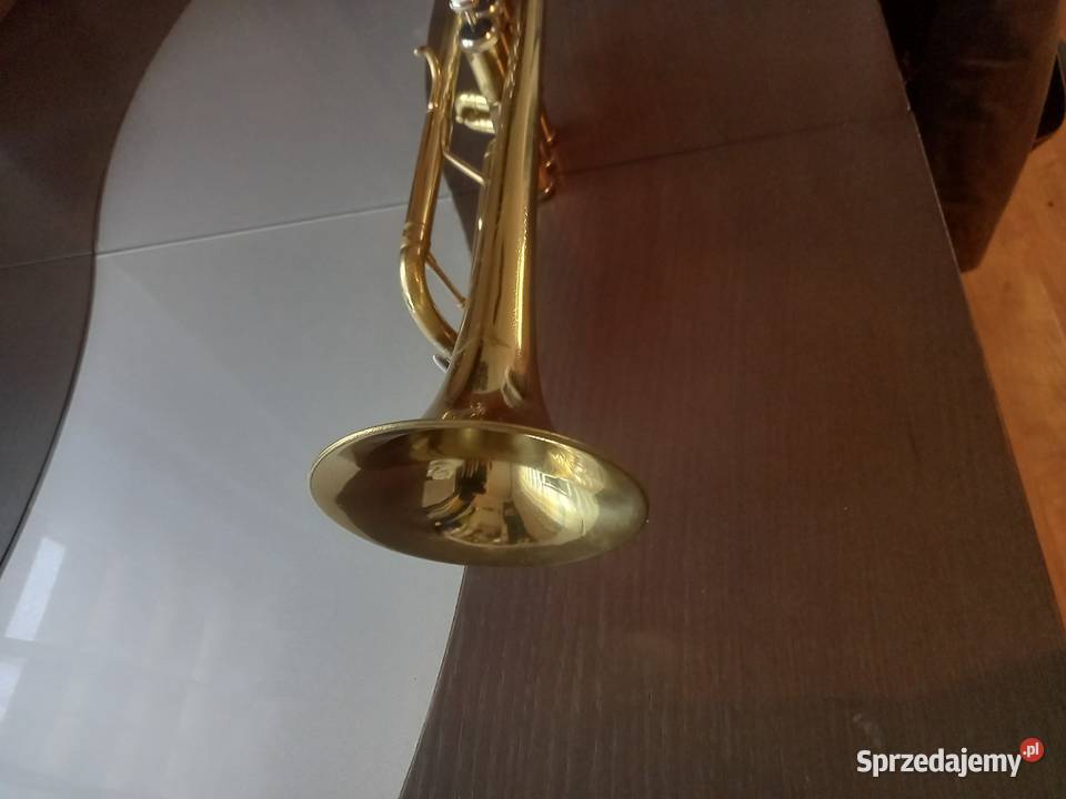 Sprzedam trąbce B Czchów