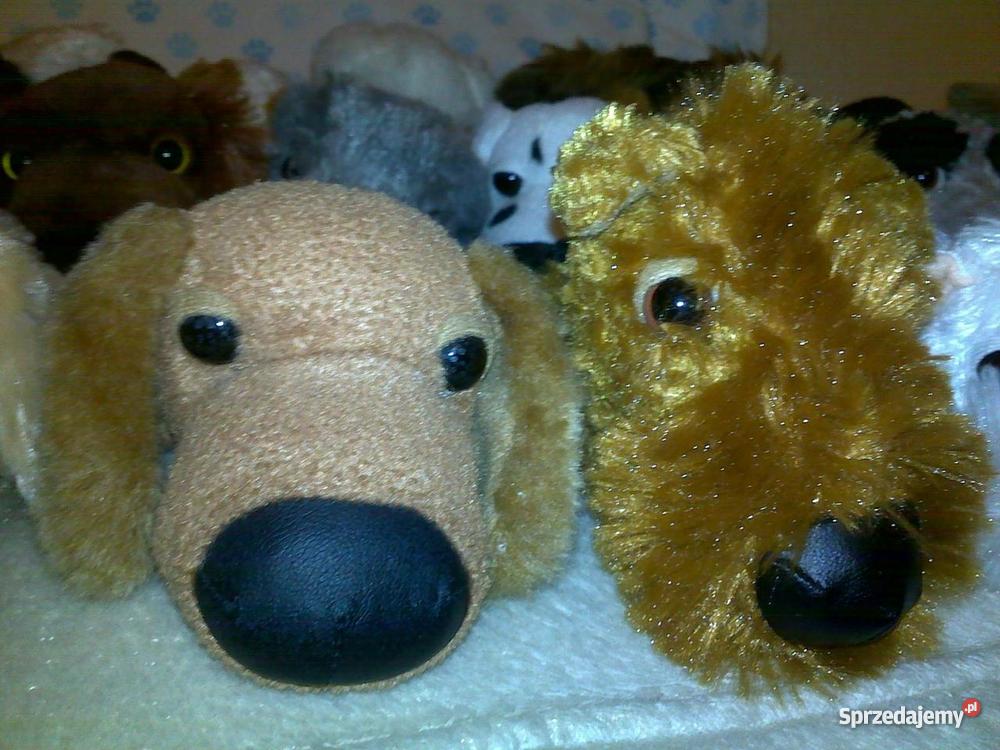 kolekcja THE DOG Poznań sprzedam