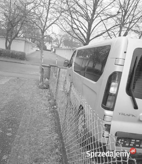 Syndyk sprzeda samochód osobowy Renault Trafic wielkopolskie Koło