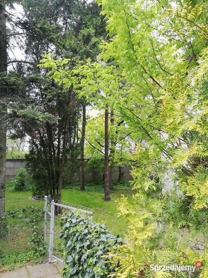 Poznań Smochowice pokój do wynajęcia